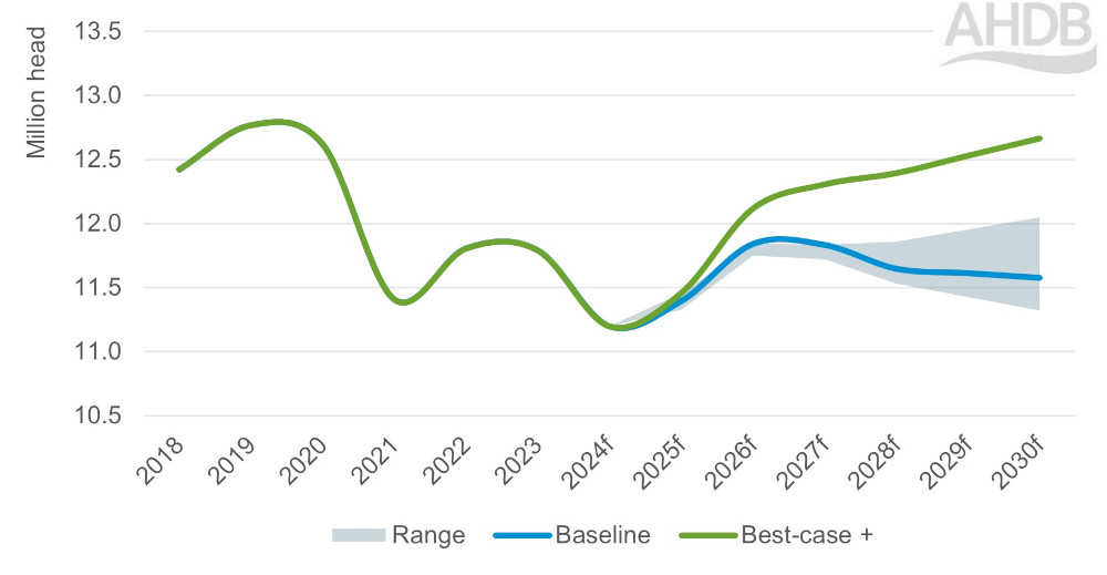 Graph of GB clean sheep slaughter 2018 to 2030. 